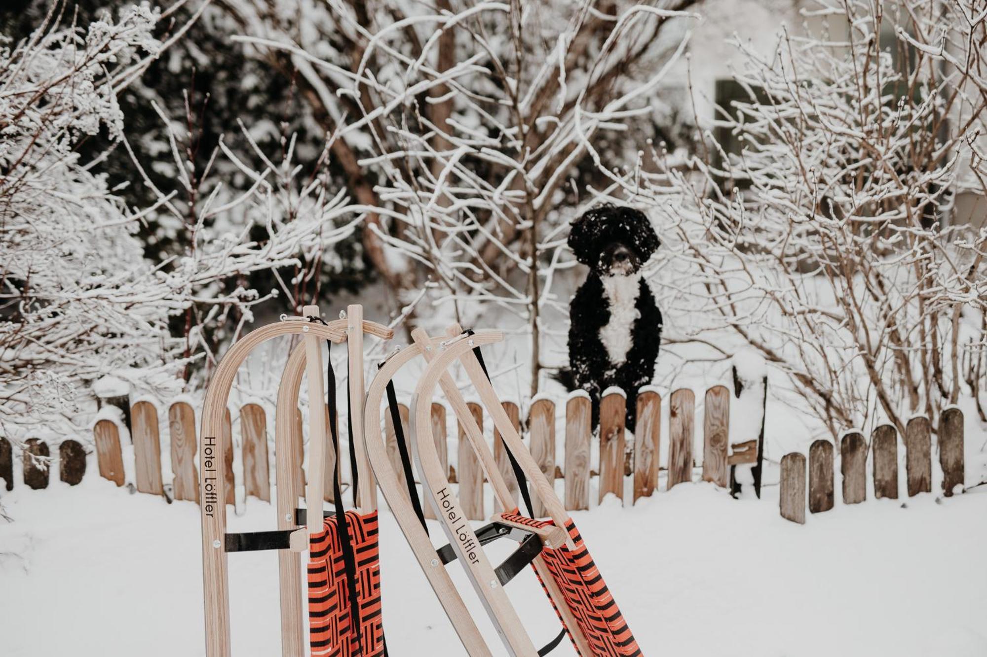 Der Loeffler Am Semmering Bed&Breakfast Bagian luar foto