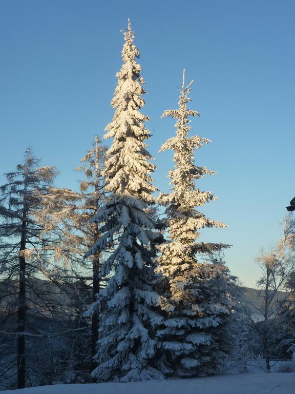 Der Loeffler Am Semmering Bed&Breakfast Bagian luar foto